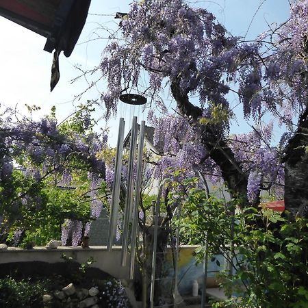 Pension Zur Rose Βάιλ αμ Ράιν Εξωτερικό φωτογραφία